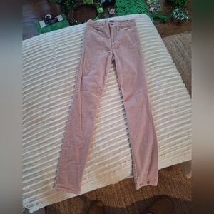 Womens GAP True Skinny Pants Size 24